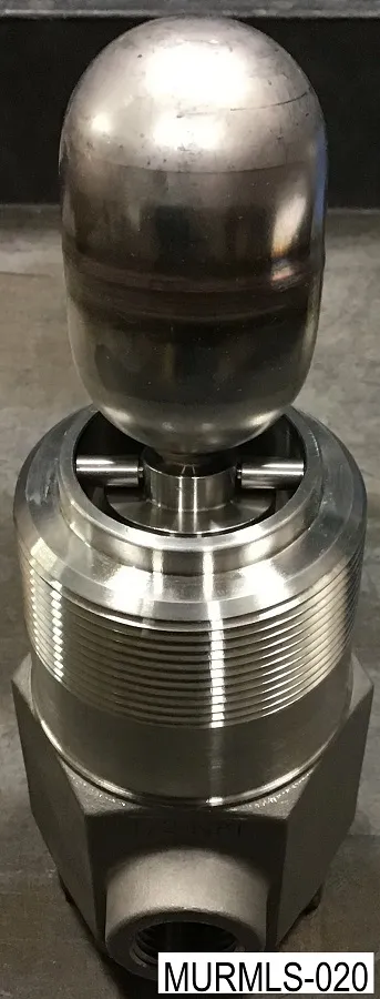 MURMLS 020 MURMLS-020