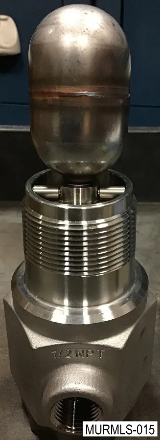 MURMLS 015 MURMLS-015